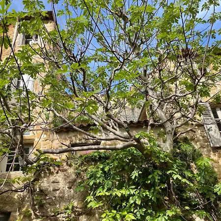 Le Petit Egregore, Patio Et Climatisation Lauris Exterior photo