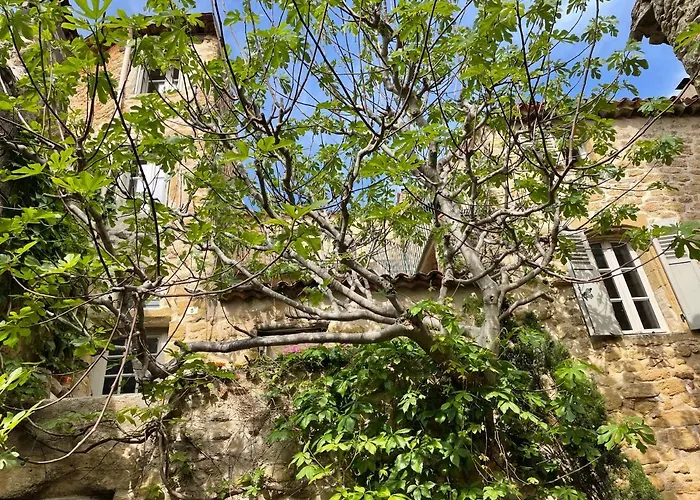 Le Petit Egregore, Patio Et Climatisation