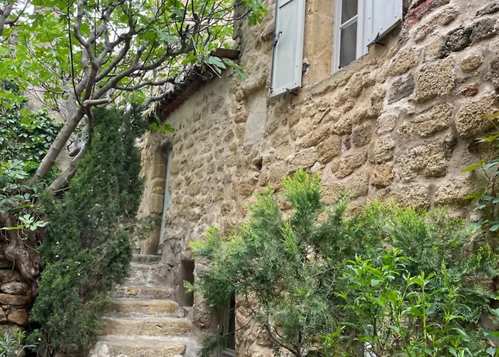 Le Petit Egregore, Patio Et Climatisation